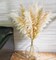 10 Stems 46" inch Dried Pampas Grass Decor Tall, Large Pompas Grass, Boho Neutral Home Decor Bouquet, Fluffy Pampass Grass for Floor Vase Wedding Floral Arrangements Wall Farmhouse Table Decor